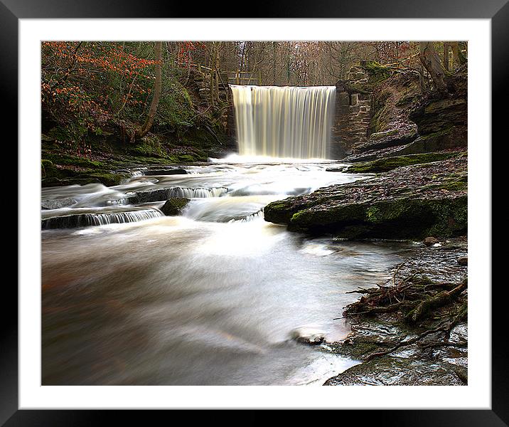 Enchanted Forest Cascade Framed Mounted Print by Graham Parry
