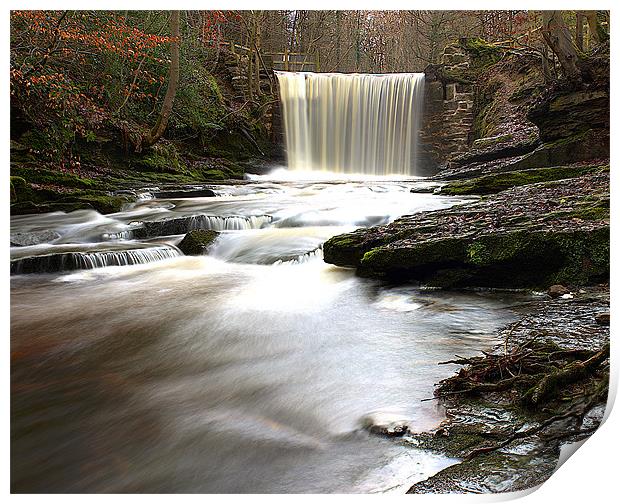 Enchanted Forest Cascade Print by Graham Parry