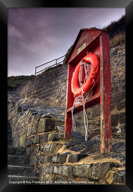 Life Saver Framed Print by Ray Pritchard