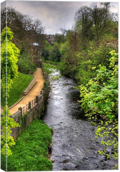 Water of Leith Walkway Canvas Print by Tom Gomez