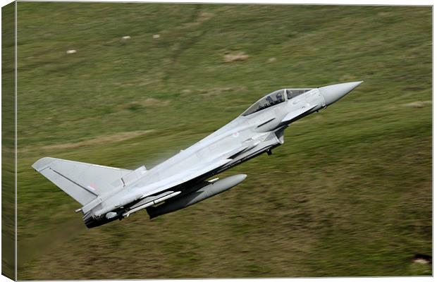 Eurofighter Typhoon Canvas Print by peter lewis