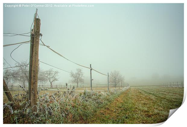 Frozen Racecourse Print by Canvas Landscape Peter O'Connor