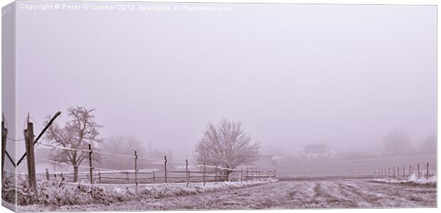 Frosted Winter Racetrack Canvas Print by Canvas Landscape Peter O'Connor