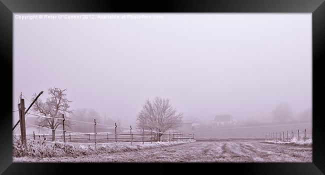 Frosted Winter Racetrack Framed Print by Canvas Landscape Peter O'Connor