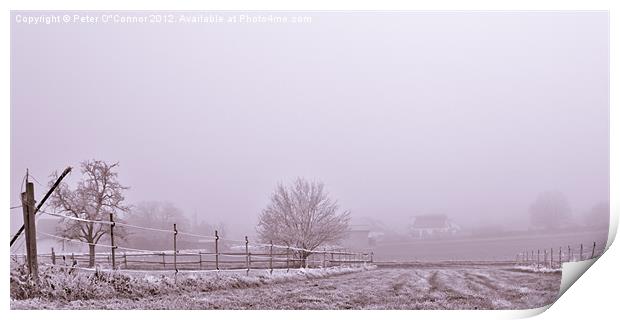 Frosted Winter Racetrack Print by Canvas Landscape Peter O'Connor