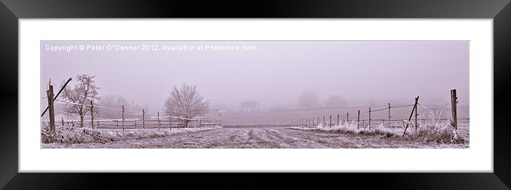 Winter Racecourse Framed Mounted Print by Canvas Landscape Peter O'Connor