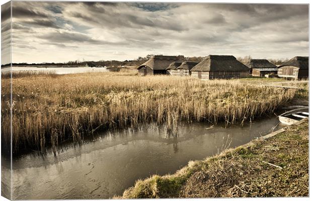 Thatched roofs Hickling Canvas Print by Stephen Mole