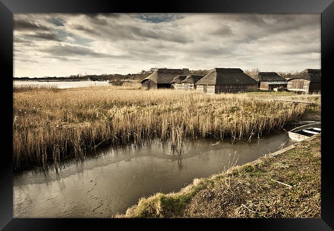 Thatched roofs Hickling Framed Print by Stephen Mole