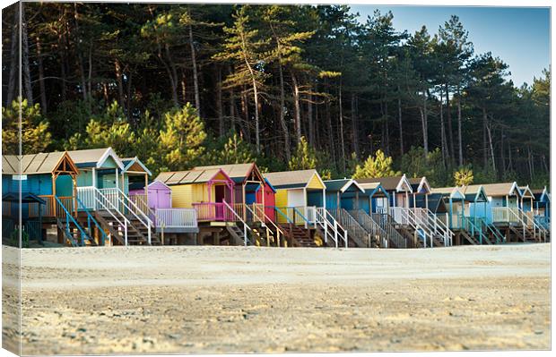 A row of Wells Beach Huts Canvas Print by Stephen Mole