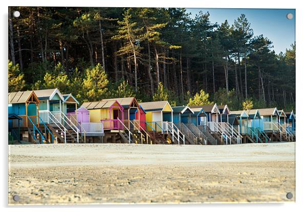 A row of Wells Beach Huts Acrylic by Stephen Mole