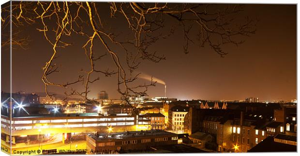 Views Of Nottingham City Canvas Print by Elaine Whitby