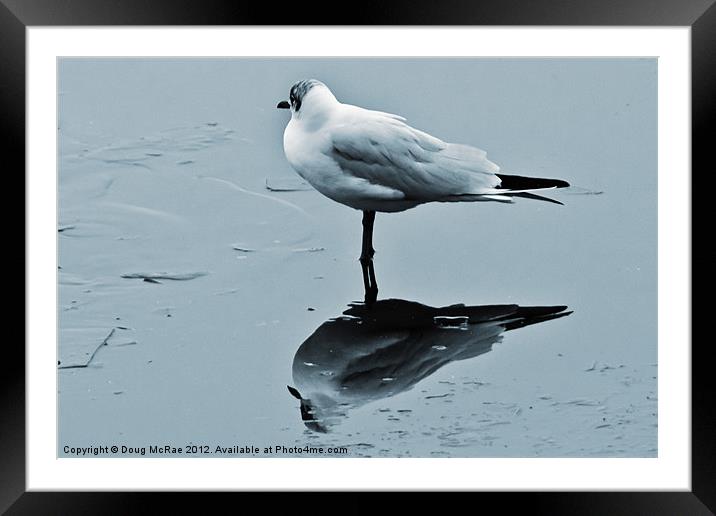 Cold feet Framed Mounted Print by Doug McRae