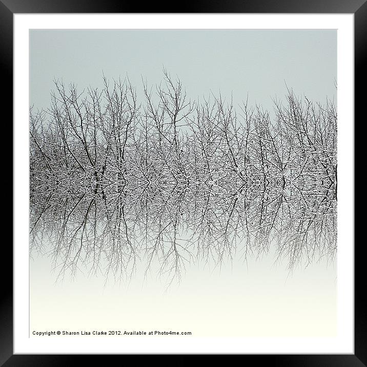 Winter tree tops Framed Mounted Print by Sharon Lisa Clarke