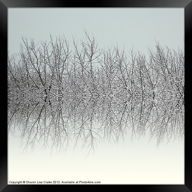 Winter tree tops Framed Print by Sharon Lisa Clarke