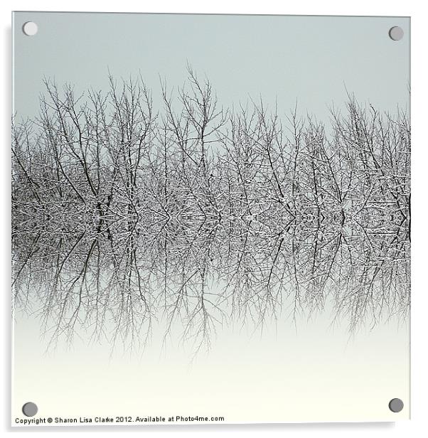 Winter tree tops Acrylic by Sharon Lisa Clarke