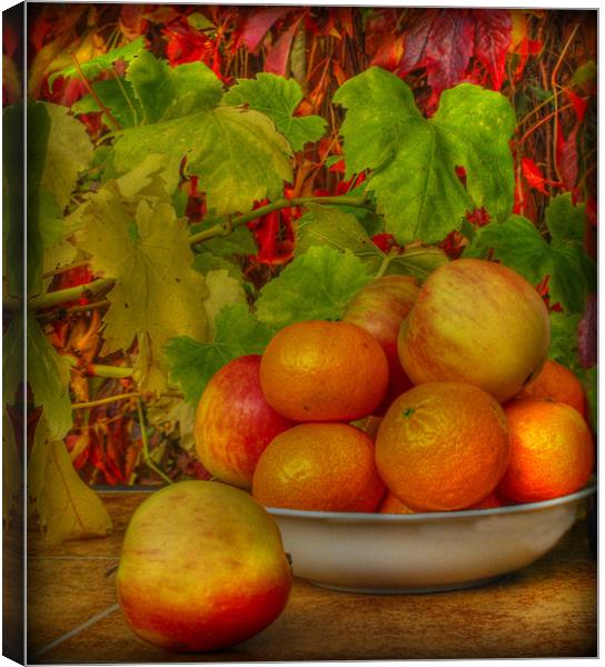 simply fruit Canvas Print by sue davies