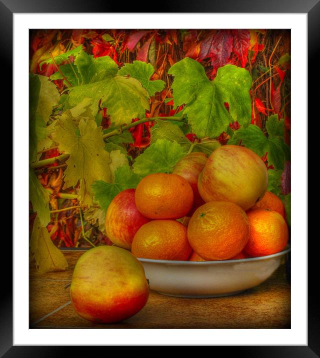 simply fruit Framed Mounted Print by sue davies