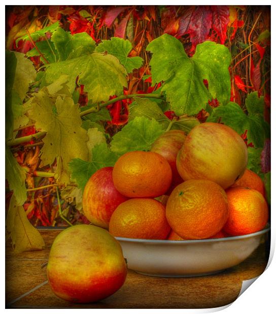 simply fruit Print by sue davies