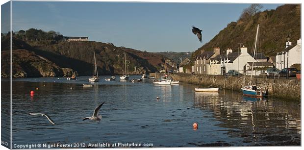 Lower Fishguard Harbour Canvas Print by Creative Photography Wales