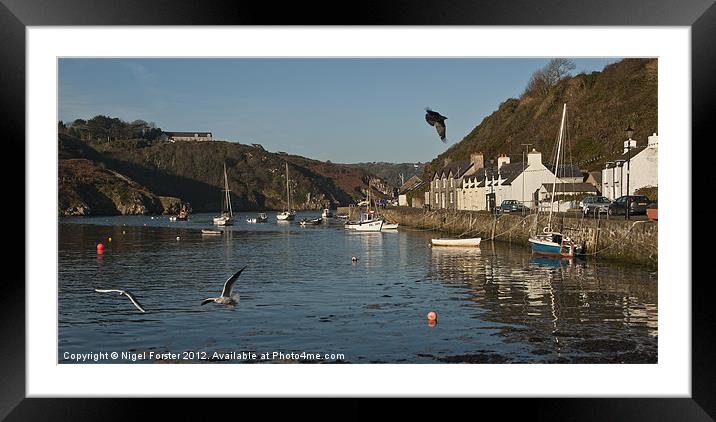 Lower Fishguard Harbour Framed Mounted Print by Creative Photography Wales