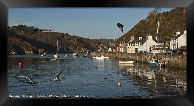Lower Fishguard Harbour Framed Print by Creative Photography Wales