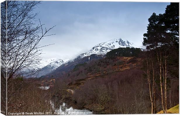 Glen Affric View Canvas Print by Derek Whitton