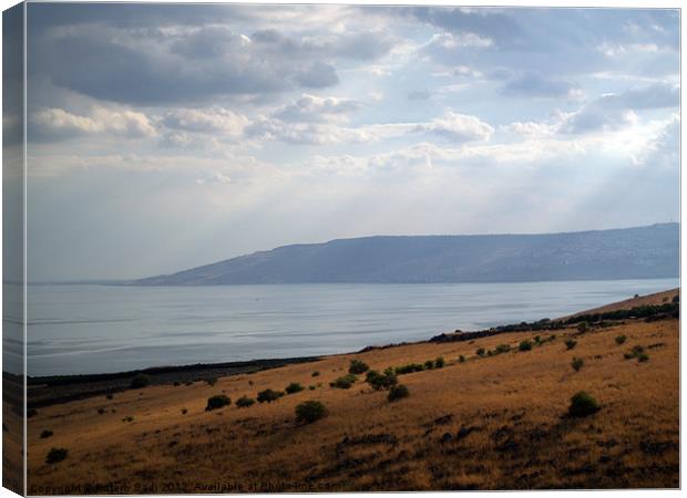 The Galilee's Lake Canvas Print by Rotem Sadi