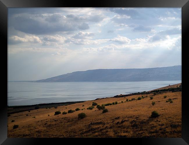 The Galilee's Lake Framed Print by Rotem Sadi