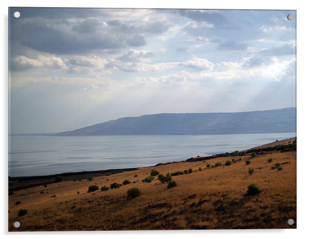 The Galilee's Lake Acrylic by Rotem Sadi
