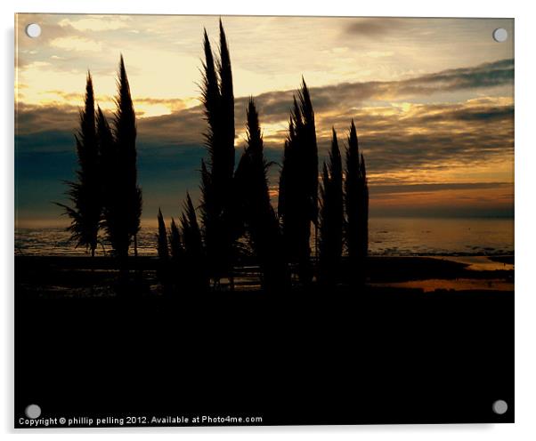 Pampas Dawn. Acrylic by camera man