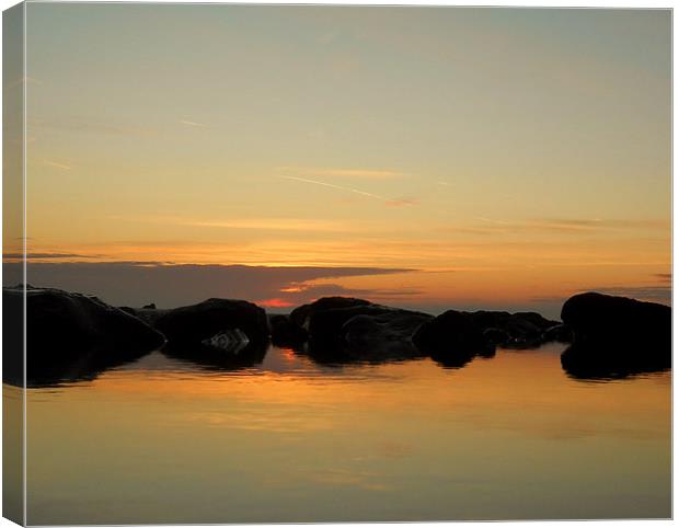 Dawn Reflection Canvas Print by camera man