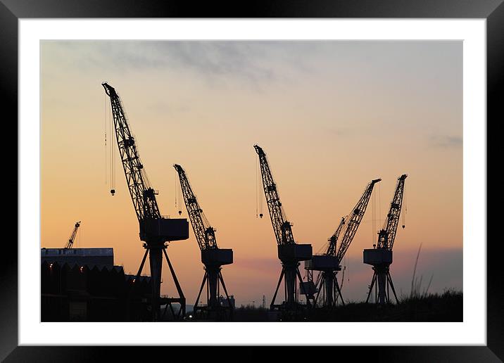 Cranes at sunset Framed Mounted Print by Jill Bain