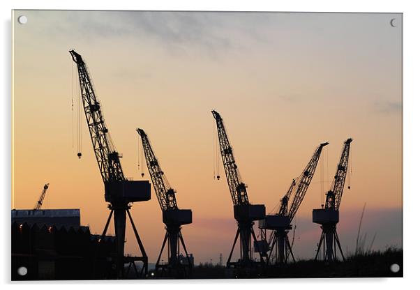 Cranes at sunset Acrylic by Jill Bain