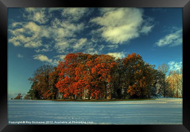 Autumnal Oasis Framed Print by Roy Scrivener