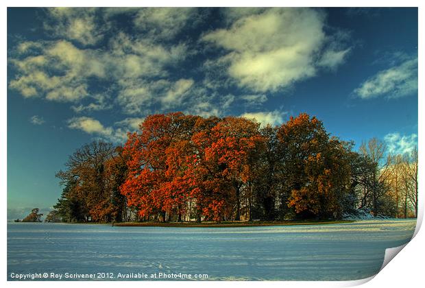 Autumnal Oasis Print by Roy Scrivener