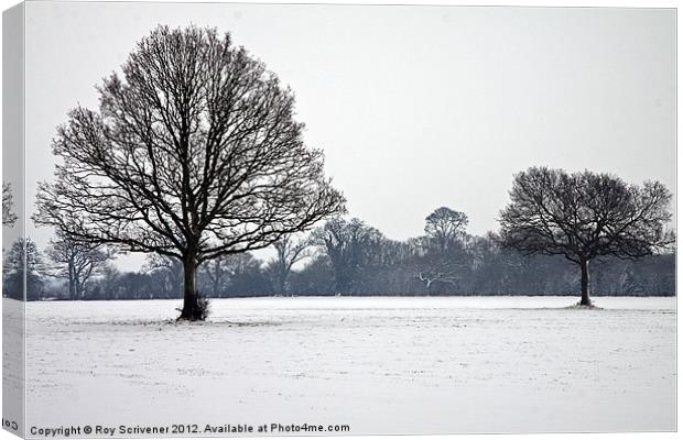 Winter Trees Canvas Print by Roy Scrivener