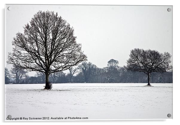 Winter Trees Acrylic by Roy Scrivener