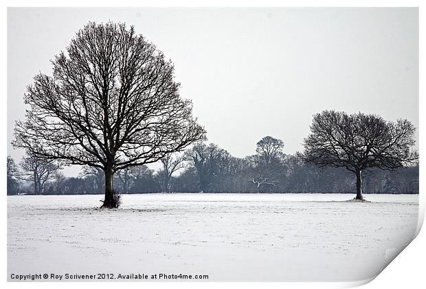 Winter Trees Print by Roy Scrivener