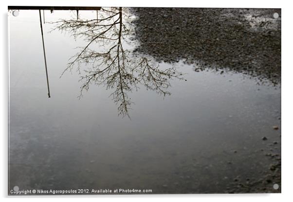 Tree silhouette reflection Acrylic by Alfani Photography