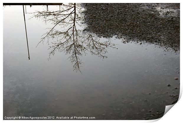 Tree silhouette reflection Print by Alfani Photography