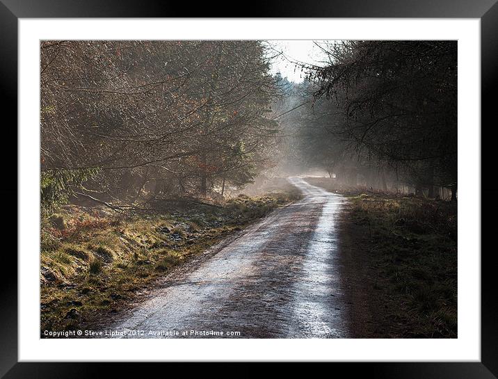 The Forest of Dean Framed Mounted Print by Steve Liptrot