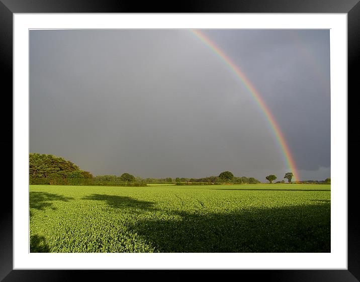 Norfolk Rainbow Framed Mounted Print by Paul Holman Photography