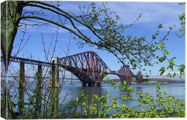 The Forth Rail Bridge Canvas Print by Tom Gomez