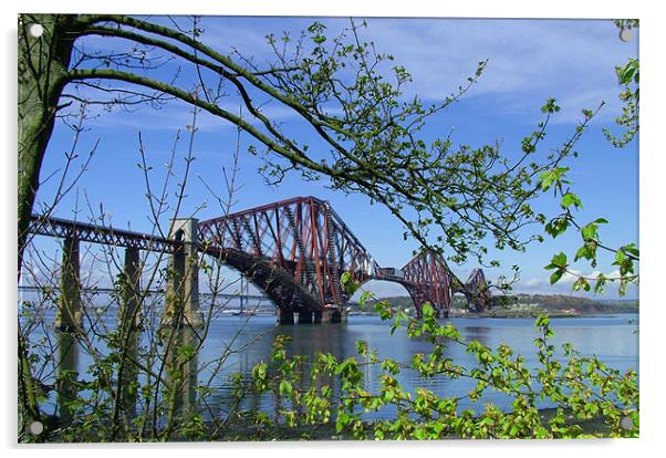 The Forth Rail Bridge Acrylic by Tom Gomez