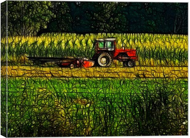 The Cornfield Canvas Print by Kathleen Stephens