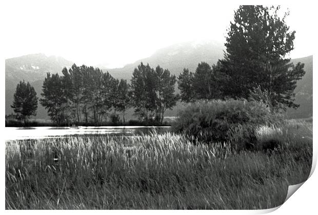 Pond in Montana Print by Larry Stolle