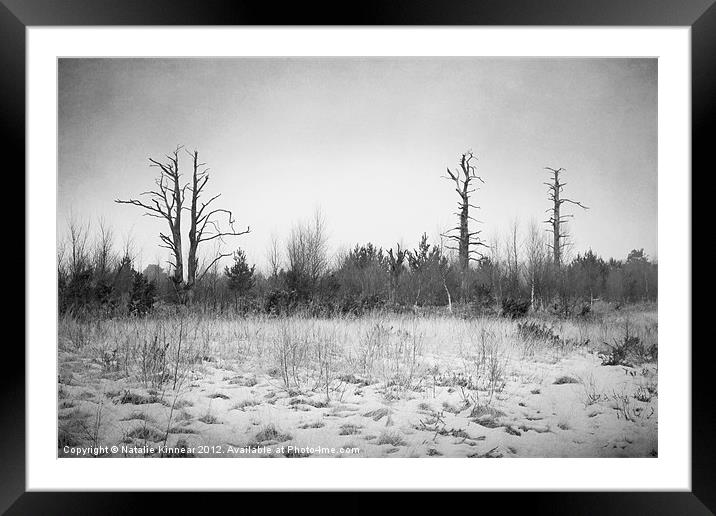 Digital Art Trees and Snow in Black and White Framed Mounted Print by Natalie Kinnear