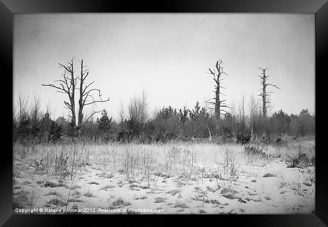 Digital Art Trees and Snow in Black and White Framed Print by Natalie Kinnear