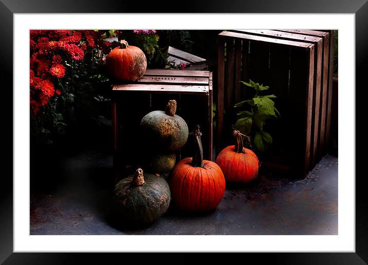 Autumn Squash Framed Mounted Print by Kathleen Stephens