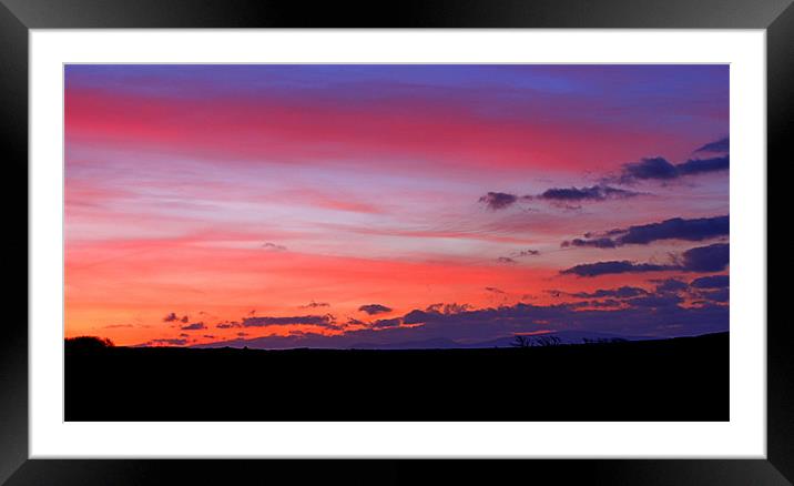 Morning Sky Framed Mounted Print by barbara walsh